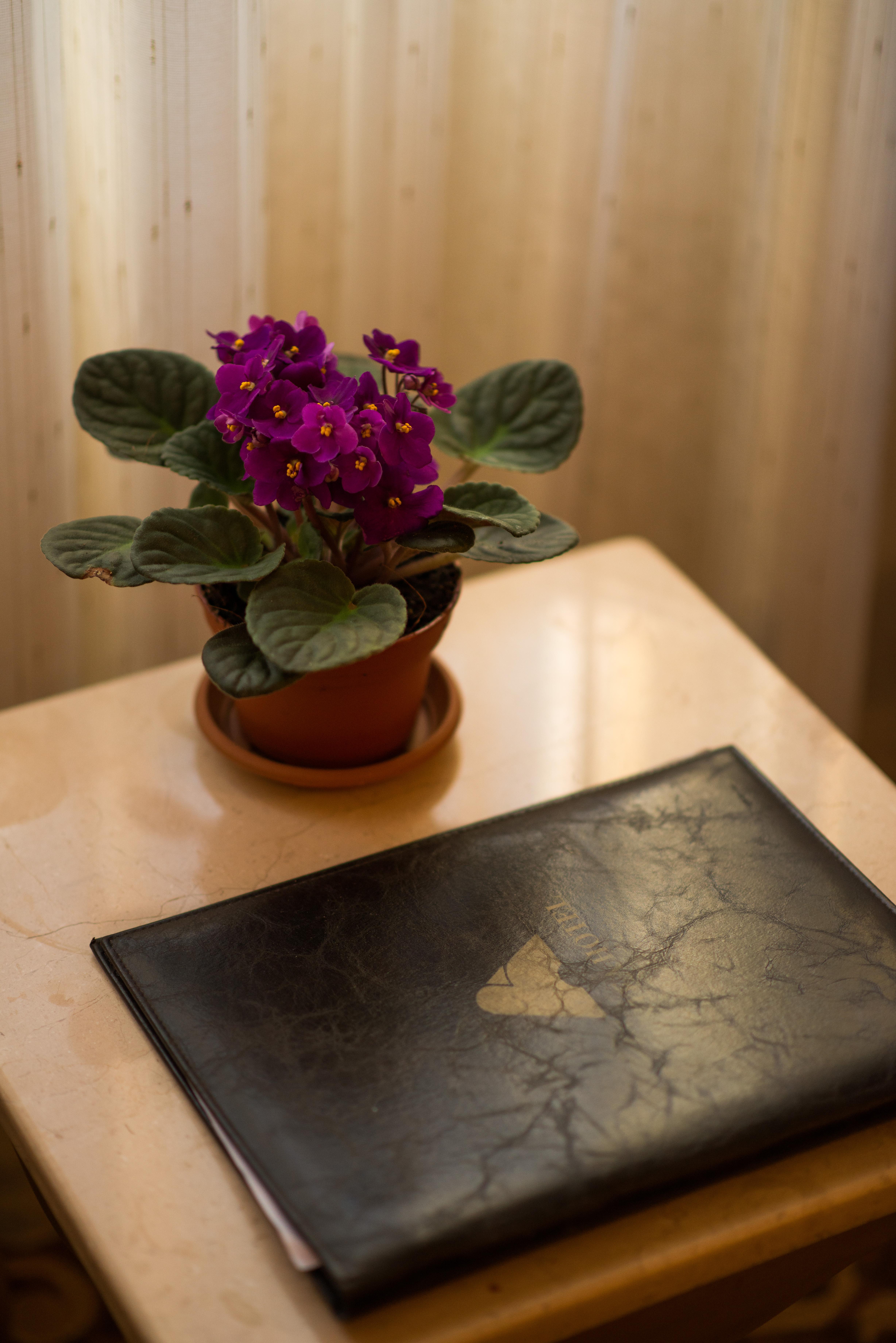 Antea Hotel Oldcity -Special Category Isztambul Kültér fotó